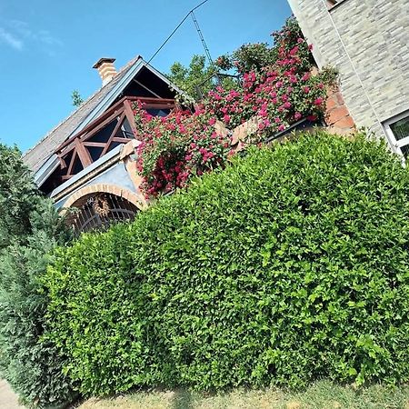 Apartman Vrdnicak Vrdnik Esterno foto