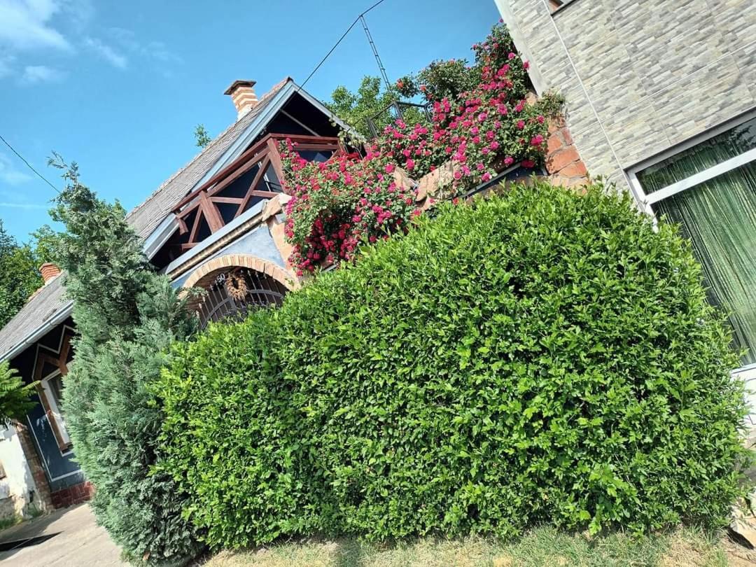 Apartman Vrdnicak Vrdnik Esterno foto
