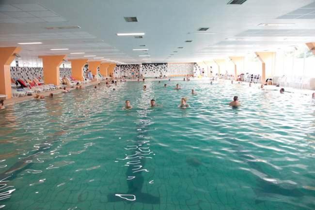 Apartman Vrdnicak Vrdnik Esterno foto