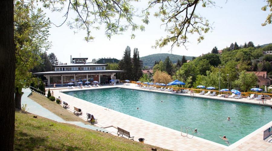 Apartman Vrdnicak Vrdnik Esterno foto