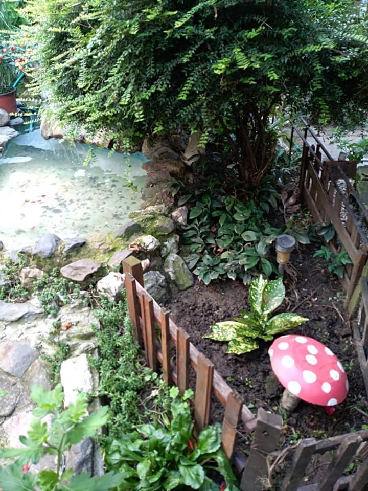 Apartman Vrdnicak Vrdnik Esterno foto