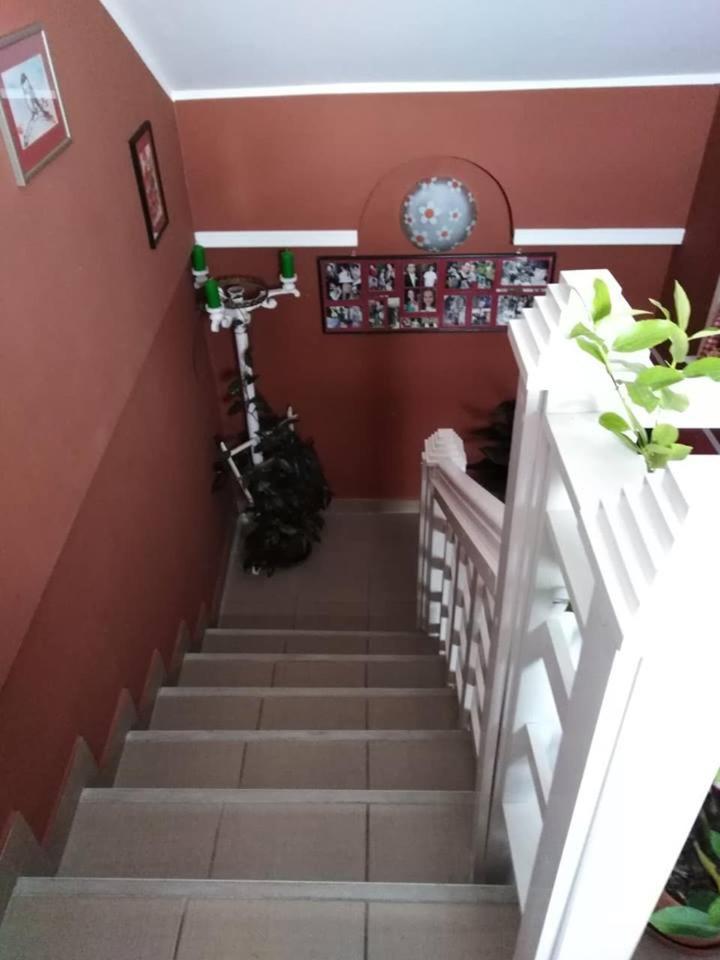 Apartman Vrdnicak Vrdnik Esterno foto