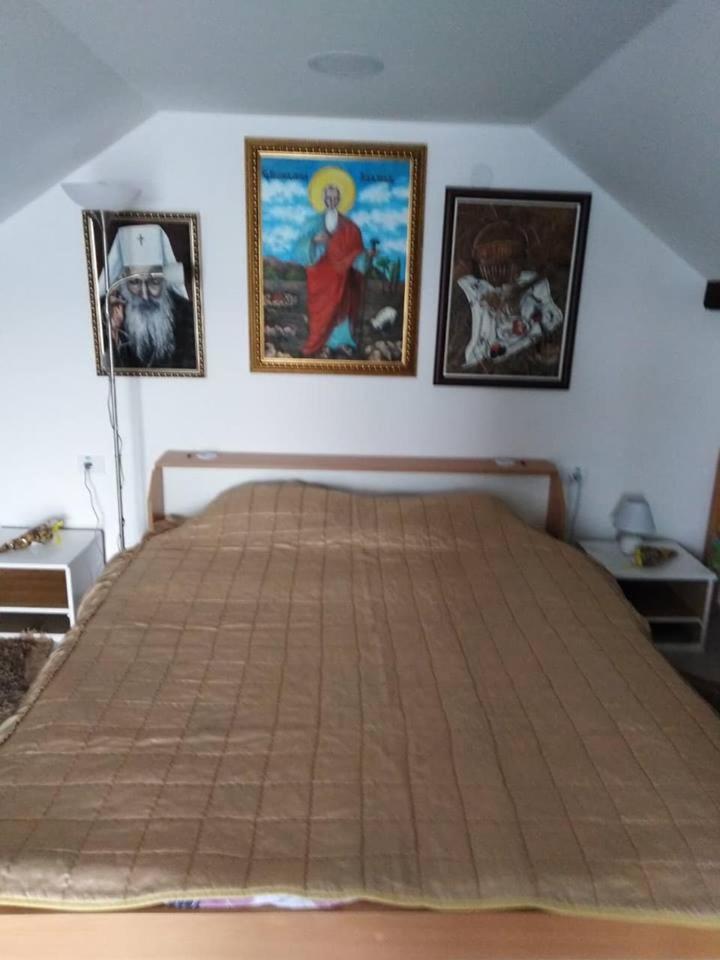 Apartman Vrdnicak Vrdnik Esterno foto